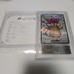 ARS10】キチチギス SAR 鑑定書付き ポケモンカード - メルカリ