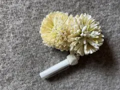 Item thumbnail for item f003de17-938d-4e8c-9266-3f16ee8f870e