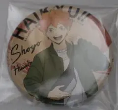 d+A. 日向翔陽　ショルダーバッグ　缶バッジ　【ハイキュー】