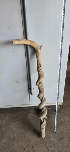 Item thumbnail for item 8ebe4b58-db7c-4b8b-8cc9-f66a41df4c74