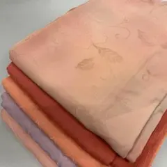 Item thumbnail for item 5c624ffc-3098-4729-ae91-c838c43be2ac