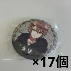 カラフルピーチ　うり　缶バッジ17個 からぴちピクニック
