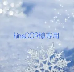 hina009様専用