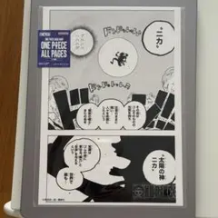 ONE PIECE ALL PAGES 太陽の神ニカ 原画風イラストのサムネイル