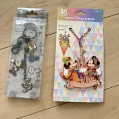 ディズニー　ミッキー　ミニー　35周年キーチェーン　40周年チャーム