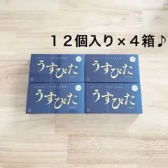 ジャパンメディカル　うすぴたコンドーム　スムース（ナチュラルカラー）１２個入４箱のサムネイル