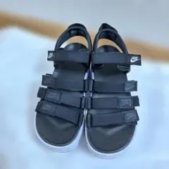 Item thumbnail for item 9f8783ed-7ad7-479f-954b-4e0d53311900