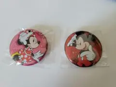 ディズニー カンバッジコレクション