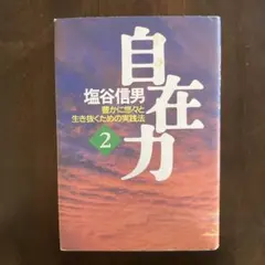 自在力2