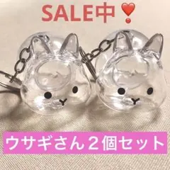 ２個セットM1 うさぎ 毛玉入れ ペット 毛 キーホルダー ケース