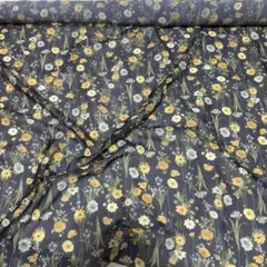 Item thumbnail for item 1c607dde-f004-48b6-98dd-617057056bf3