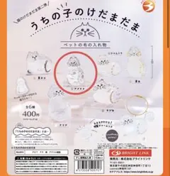 うちの子のけだまだま 猫 アメショ カプセルトイ