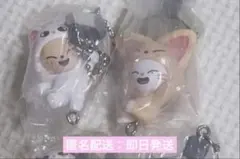 SKZOO つまんでつなげてますこっと ガチャ ジニレット フォクシニー スキズ