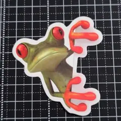 防水ステッカー かえる