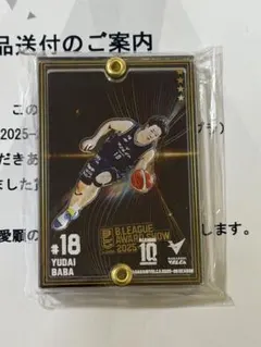 長崎ヴェルカ　馬場雄大　Bリーグアワード　アクリルムービングキーホルダー