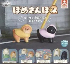 43-8 ぽめさんぽ2 駆け寄ってくるポメラニアン 가챠