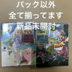 ポケモンカード　コレクションファイルN＆リーリエセット(パック無し)