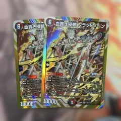 デュエルマスターズ　デュエマ　血貴き侵略　ブラッドゾーン　シークレット　シク