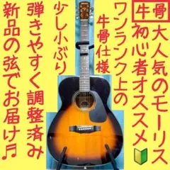 牛骨☆エレアコ】MORRIS！少し小ぶり！MR-2D【弾き易く調整☆新品弦