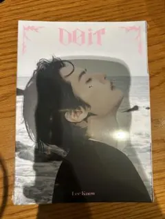 【新品未開封】Stray Kids DO IT accordion リノ