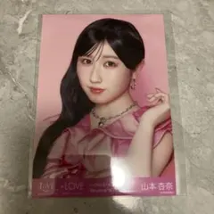 山本杏奈 生写真 ヨリ