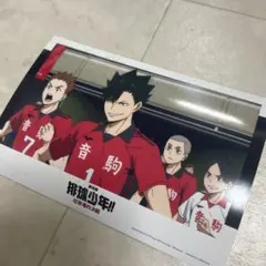 台湾限定 ハイキュー 音駒 黒尾鉄朗 ポストカード アニメイト