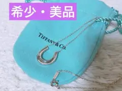 廃盤希少 Tiffany & Co. 馬蹄型　ホースシュー　ネックレス　1837のサムネイル