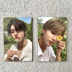 スキズ ハン トレカ maxident noeasy セット