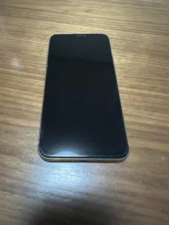 iphone11promax 512GB