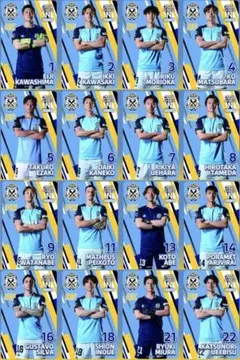 ジュビロ磐田 オンサイトカード Nカード32枚コンプセット(バラ売り可)