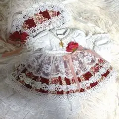 ディーラー様製　幼SD、1/6サイズ　ドレスセット