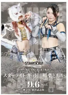 スターダムポスター Yahoo!オークション -「スターダム ポスター」の落札相場・落札価格