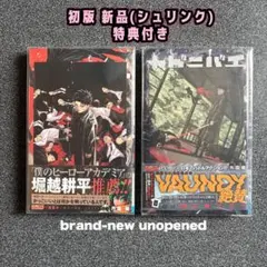 カグラバチ 初版 1巻 2巻 アニメイト 特典付 シュリンク 新品未開封
