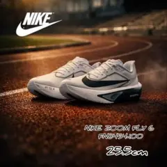 ナイキ ズームフライ 6 NIKE ZOOM FLY 6 FN8454-100