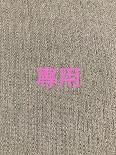 専用ページ