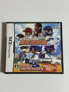 高校野球道DS