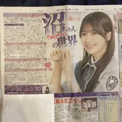 櫻坂46 大沼晶保 4thANNIVERSARY LIVE 直筆サインボール 櫻坂46 大沼晶保 4thANNIVERSARY LIVE 直筆サインボール 71b