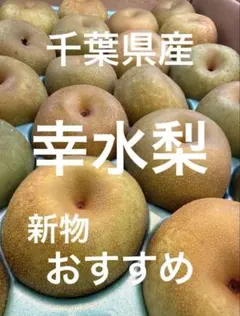 ⚠️YUKA専用⚠️茨城県産 梨/甘ひびき 5キロ/家庭用 数量限定