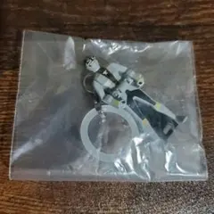 めじるしアクセサリー ゴーカイシルバー