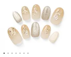 【新品•未使用】エバーネイルK Champagne Sparkleネイルチップ 繰り返し使えるネイル EVER NAIL｜エバーネイル