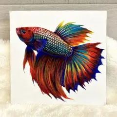 【熱帯魚】絵画　原画　キャンバス画　アクリル画　アート　イラスト