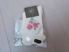 Item thumbnail for item 07765f6f-2b27-4981-b2d5-6bd99a55cc56