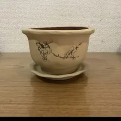2026年最新】骨董植木鉢の人気アイテム - メルカリ