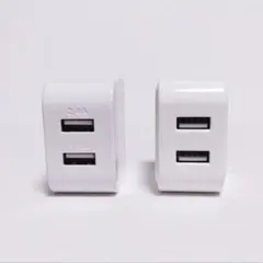 ラティーノ テラインターナショナル◆2ポート ACアダプタ 充電器 2個