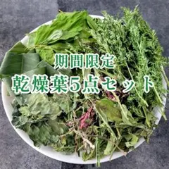 ヒロコ様 リクエスト 2点 まとめ商品【同梱お値引き済み】