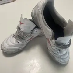 【25cm】 Mizuno ホワイト/レッド トレーニングシューズ