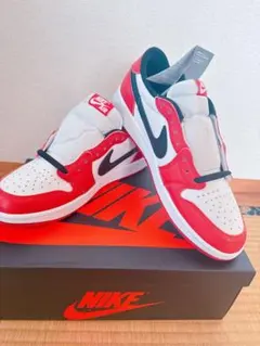 Nike GS Air Jordan 1 Retro Low OG