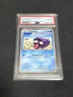 シェルダー psa10 XY9 破天の怒り 016/080
