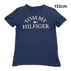 トミーヒルフィガー 半袖 ネイビ-tシャツ 152