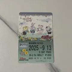 ディズニーフリーきっぷ　バケーションパッケージ ディズニー リゾートライン フリーきっぷ バケーションパッケージ 使用